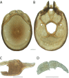 Figure 171.
