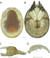 Figure 254.