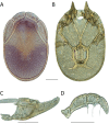 Figure 74.