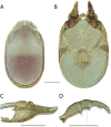 Figure 145.