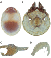 Figure 229.