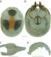 Figure 256.