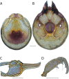 Figure 206.