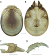 Figure 154.