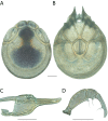 Figure 150.