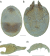 Figure 116.
