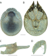 Figure 151.