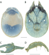 Figure 260.