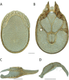 Figure 125.