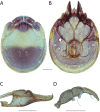 Figure 23.
