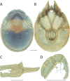 Figure 104.