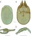 Figure 191.