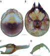 Figure 207.