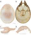 Figure 156.