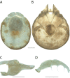 Figure 262.