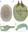 Figure 42.