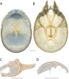 Figure 162.