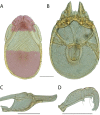 Figure 69.