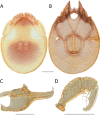 Figure 244.