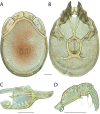 Figure 160.