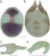 Figure 189.
