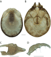 Figure 153.