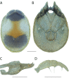 Figure 26.