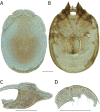 Figure 177.