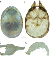 Figure 238.