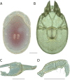 Figure 227.