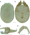Figure 95.
