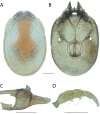 Figure 128.
