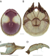 Figure 276.