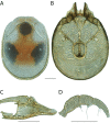 Figure 257.