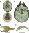 Figure 253.
