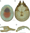 Figure 119.