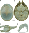 Figure 216.