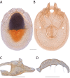Figure 265.