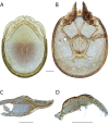 Figure 179.