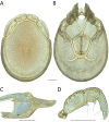 Figure 159.