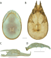Figure 201.