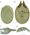 Figure 147.