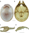 Figure 46.