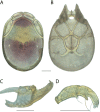 Figure 224.