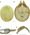 Figure 113.