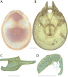Figure 194.