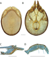 Figure 122.