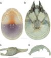 Figure 247.