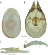 Figure 200.