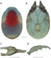 Figure 204.
